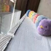 tocotocoの画像