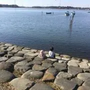 どんぐりの画像