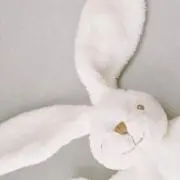 ちぃの画像
