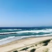 りり