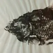 もどりすの画像