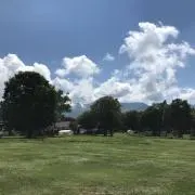 ザキの画像