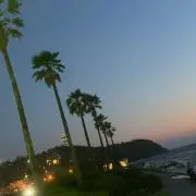 sato18
