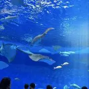 na★mの画像