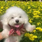 こっこ