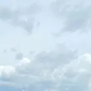 haaarの画像