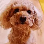 るぱん