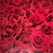 【プロフ要確認】まりあ⚠️不要なイイね×の画像