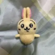 Tejimiの画像