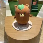 Rの画像