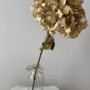 Riの画像