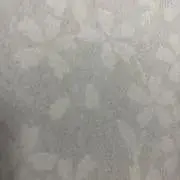 櫻　咲く