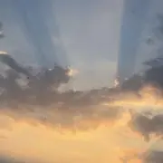 Sの画像