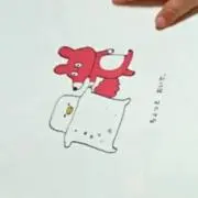 カメ太