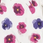 るるもの画像