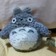 ぽちゃ
