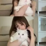 ♡の画像