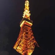 春の画像