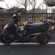 シグシーグの画像