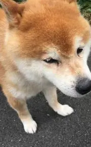 マーガリンの画像
