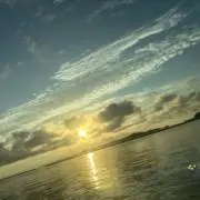 yの画像