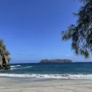 YAKITORIO