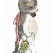 reicooooの画像