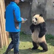 tomoの画像