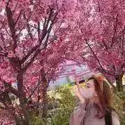 ♡きゃみ♡の画像