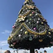 たぴ。の画像