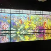めんたいこ