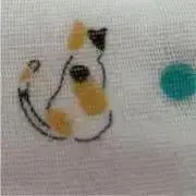 madokaの画像