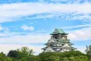 Pachanの画像