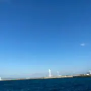 ある