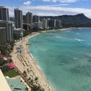 Sの画像