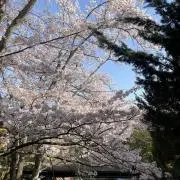 makiの画像
