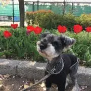 ビーズ編み職人misaの画像