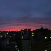 雅