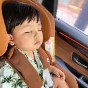 テキサスの画像