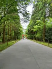 しょうしょうの画像