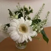 yume☆プロフ必読の画像