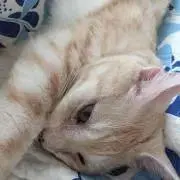 じぃ