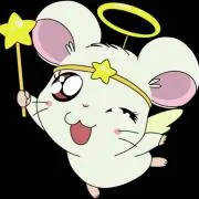 はむたろう♡︎