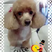 kao