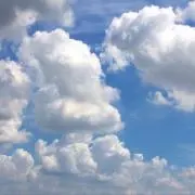 カピスケの画像