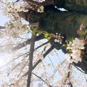 ハート♡の画像