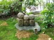 yumiの画像