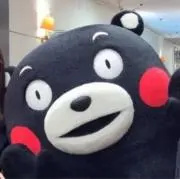 うさぎの画像