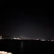 ごんの画像