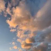 Jの画像